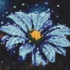 Diamond painting – 20×20 cm stort motiv med en majestätisk vithövdad havsörn