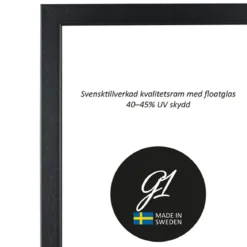 Ram 2E svart 30x30cm